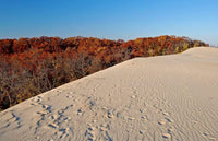 7 of the Best Trails in Chicago to Tackle This Fall
