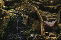 Biomimicry: innovation from the natural world