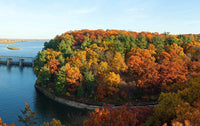 8 Fantastic Chicago Adventures to Replace Black Friday Shopping