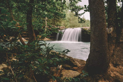 Falling Water Falls. Jeff Rose