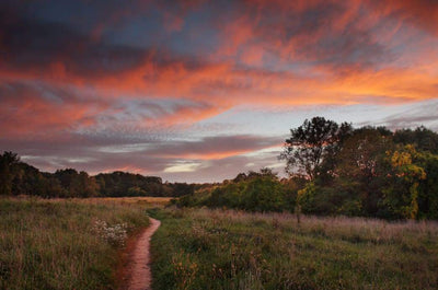 The Lowdown on the Newest Chicago-Area Camping Getaways