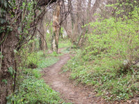 10 Best Hikes in Washington, D.C.