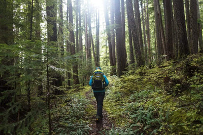 Hiking in Washington's Mount Rainier National Park. Jeff Bartlett