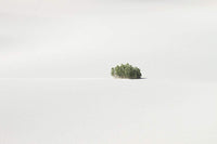 Kate Rentz