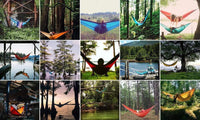 Celebrate National Hammock Day