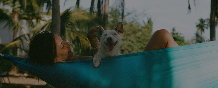 Women laying in hammock with a happy dog.
