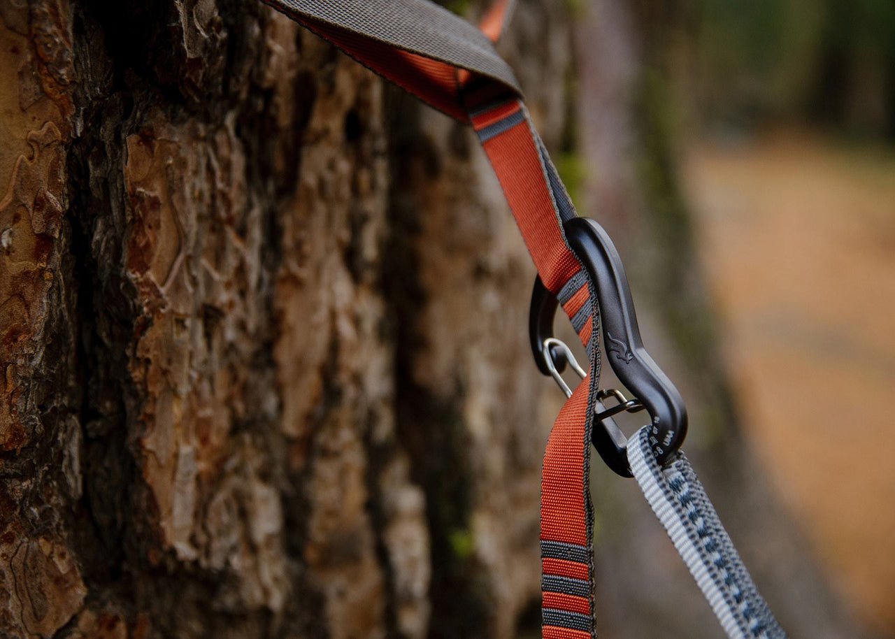 Close up of Kammok Suspension Python 10 around tree.