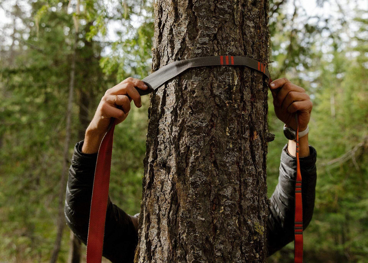 Close up of man's hands wrapping Python hammock straps around a tree.