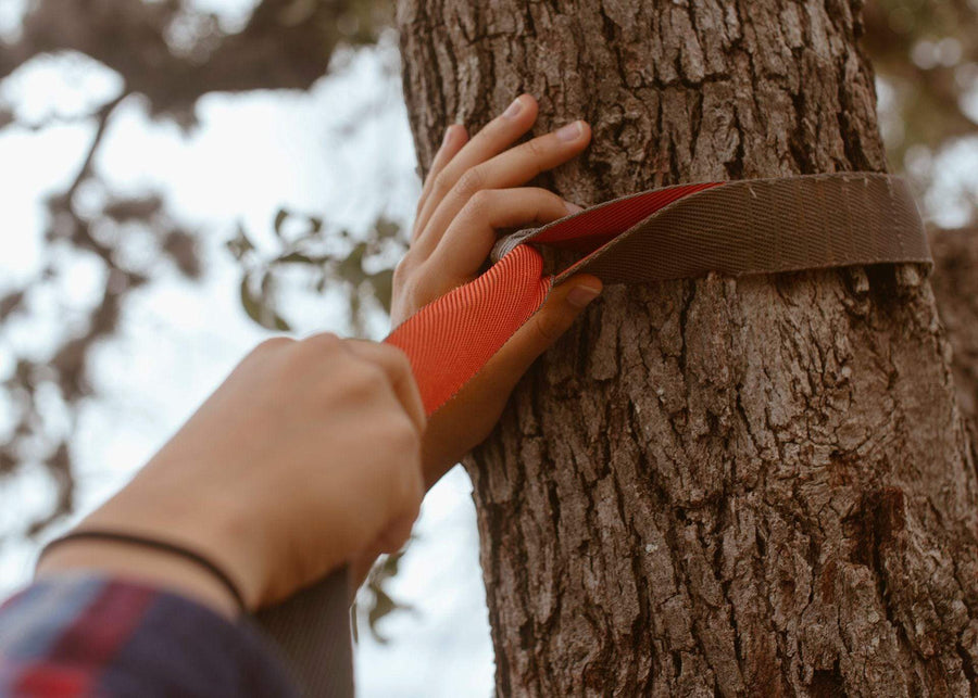 Close up of person wrapping Kammok Suspension Python 15 around tree.