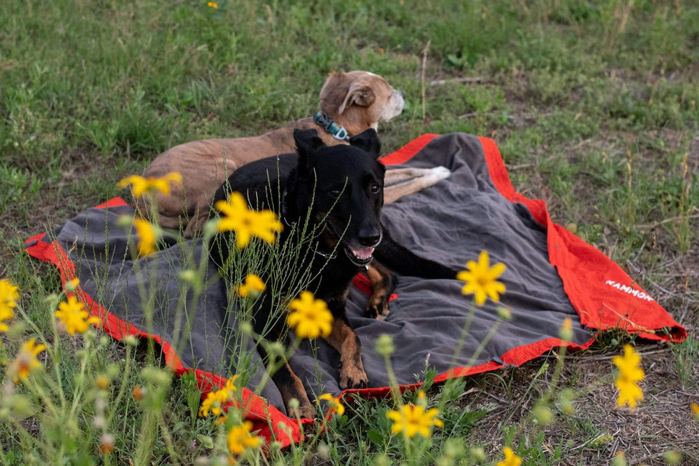 Kammok Blanket Field Blanket Jr.