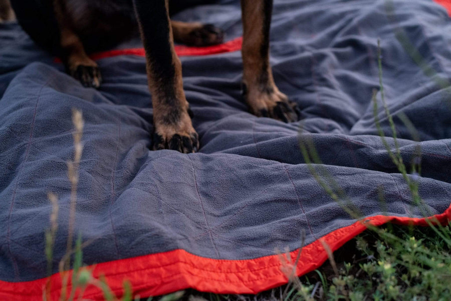 Close of up dog's paws on a Kammok Blanket Field Blanket Jr.