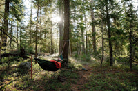 hammock camping in forest