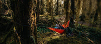 Pacific north wonderland