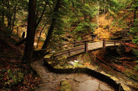10 of the Best Fall Hikes in Corning and the Southern Finger Lakes