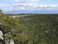 The Hardest Day Hike in Central Texas? Lost Maples East Trail
