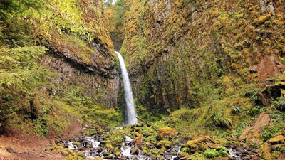 Hit the Trail: The Best Spring Hikes in Portland