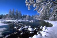 8 Minnesota State Parks to Explore This Winter
