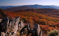 The 10 Best Outdoor Adventures in Shenandoah Valley