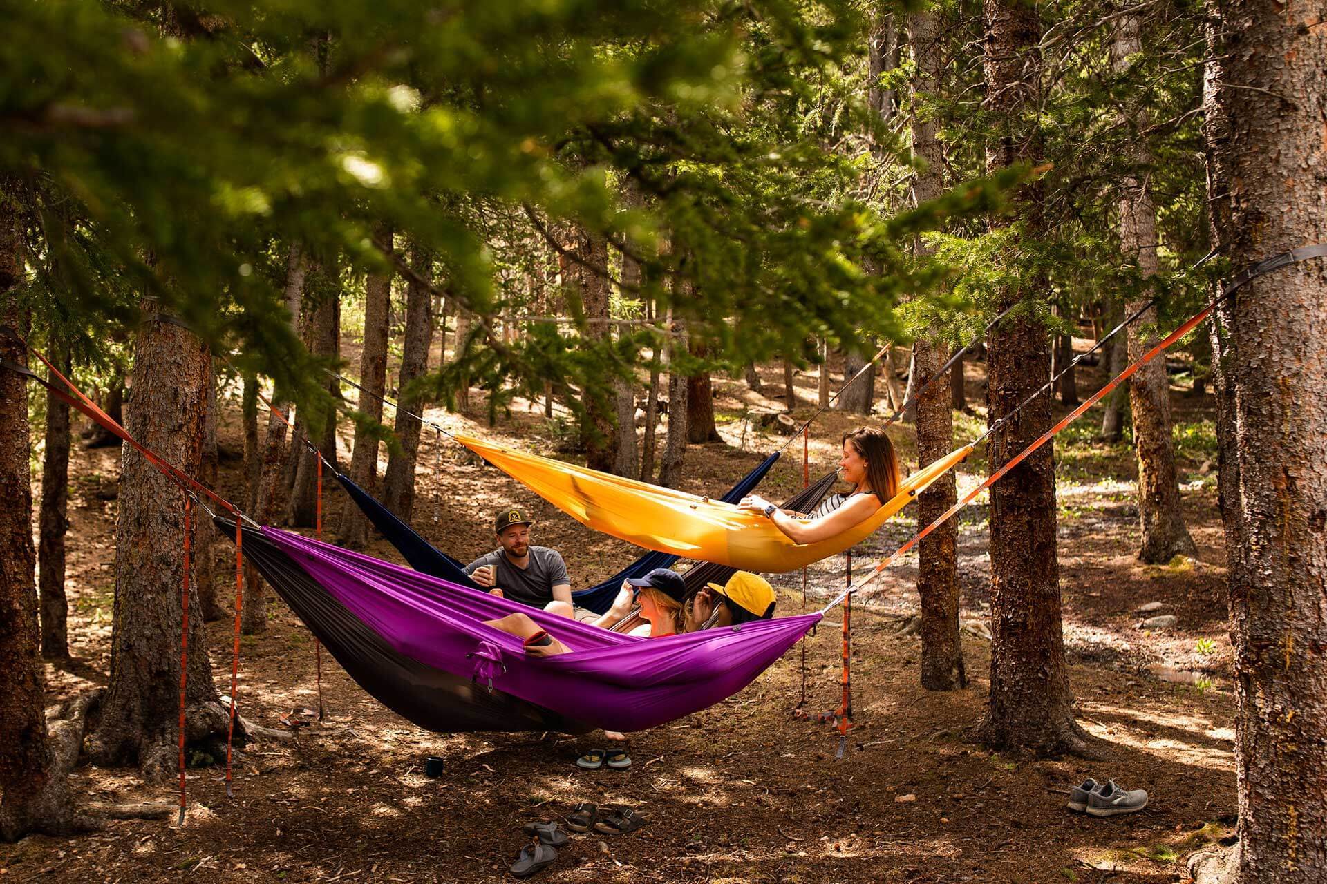 People lying in hammocks suspended from trees in the middle of the forest with sunlight shining through the trees.