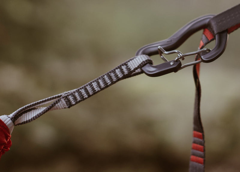 Close up of Kammok Suspension Racer Sling connected to Python straps